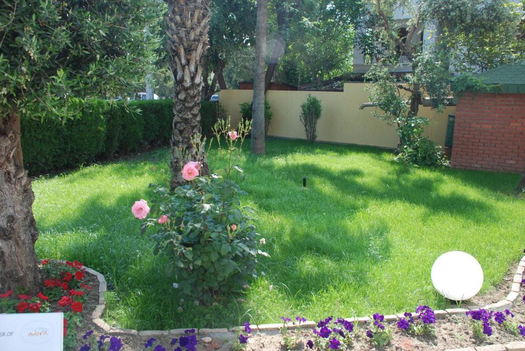 Villa Adora Beach Sidé Extérieur photo